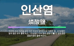 🌟인산염: 인산의 수소 이온을 금속 이온 따위의 양이온으로 치환한 염. 2산성염인 일차 염은 모두 물에 녹... - 표준국어대사전