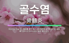 🌟골수염: 외상이나 수술 또는 혈류를 통한 세균 감염 때문에 골수에 생기는 염증. 뼈가 쑤시고 아프며 붓고... - 표준국어대사전