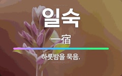 🌟일숙: 하룻밤을 묵음. - 표준국어대사전