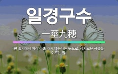 🌟일경구수: 한 줄기에서 이삭 아홉 개가 맺는다는 뜻으로, 상서로운 곡물을 이르는 말. - 표준국어대사전