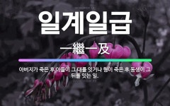 🌟일계일급: 아버지가 죽은 후 아들이 그 대를 잇거나 형이 죽은 후 동생이 그 뒤를 잇는 일. - 표준국어대사전