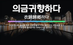 🌟의금귀향하다: (비유적으로) 출세를 하여 고향에 돌아가거나 돌아오다. 비단옷을 입고 고향에 돌아온다는 뜻... - 표준국어대사전