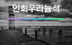 🌟인회우라늄석: 우라늄의 광석 광물. 정방 정계에 속하는 운모 모양의 결정으로, 섬우라늄석 따위가 산화하여... - 표준국어대사전
