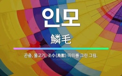 🌟인모: 곤충, 물고기, 조수(鳥獸) 따위를 그린 그림. - 표준국어대사전