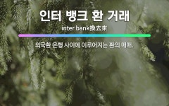 🌟인터 뱅크 환 거래: 외국환 은행 사이에 이루어지는 환의 매매. - 표준국어대사전