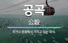🌟공곡: 국가나 관청에서 가지고 있는 곡식. - 표준국어대사전