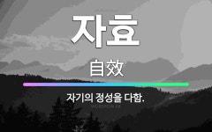 🌟자효: 자기의 정성을 다함. - 표준국어대사전