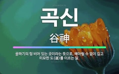 🌟곡신: 골짜기의 텅 비어 있는 곳이라는 뜻으로, 헤아릴 수 없이 깊고 미묘한 도(道)를 이르는 말. - 표준국어대사전