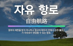 🌟자유 항로: 정부의 제한을 받지 아니하고 법규의 테두리 안에서 선주(船主)가 자유로이 영업할 수 있는 항로. - 표준국어대사전
