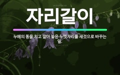 🌟자리갈이: 누에의 똥을 치고 깔아 놓은 누엣자리를 새것으로 바꾸는 일. - 표준국어대사전