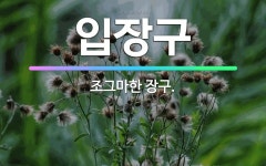 🌟입장구: 조그마한 장구. - 표준국어대사전