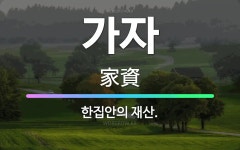 🌟가자: 한집안의 재산. - 표준국어대사전