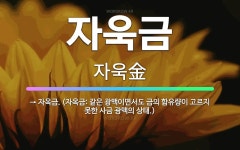 🌟자욱금: → 자옥금. (자옥금: 같은 광맥이면서도 금의 함유량이 고르지 못한 사금 광맥의 상태.) - 표준국어대사전