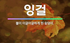 🌟잉걸: 불이 이글이글하게 핀 숯덩이. - 표준국어대사전