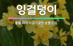 🌟잉걸덩이: 활활 피어 이글이글한 숯불덩이. - 표준국어대사전