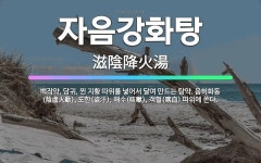 🌟자음강화탕: 백작약, 당귀, 찐 지황 따위를 넣어서 달여 만드는 탕약. 음허화동(陰虛火動), 도한(盜汗)... - 표준국어대사전