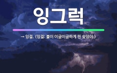🌟잉그럭: → 잉걸. (잉걸: 불이 이글이글하게 핀 숯덩이.) - 표준국어대사전