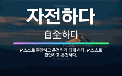 🌟자전하다: 스스로 편안하고 온전하게 되게 하다., 스스로 편안하고 온전하다. - 표준국어대사전