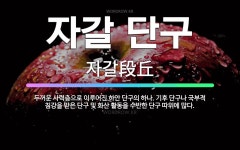 볼빅원주단구 | 🌟자갈 단구: 두꺼운 사력층으로 이루어진 하안 단구의 하나. 기후 단구나 국부적 침강을 받은 단구 및 화산... - 표준국어대사전