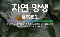 🌟자연 양생: 콘크리트 따위를 인공적으로 열을 가하지 않고 대기 중에 수분을 유지하면서 자연적으로 굳히는 일. - 표준국어대사전
