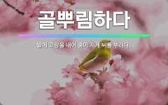 🌟골뿌림하다: 밭에 고랑을 내어 줄이 지게 씨를 뿌리다. - 표준국어대사전