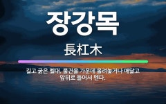 🌟장강목: 길고 굵은 멜대. 물건을 가운데 올려놓거나 매달고 앞뒤로 들어서 멘다. - 표준국어대사전