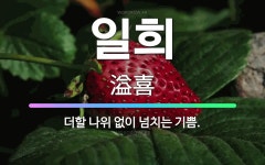 🌟일희: 더할 나위 없이 넘치는 기쁨. - 표준국어대사전