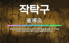 🌟작탁구: 뜸쑥을 담뱃대처럼 굵게 말아서 한쪽 끝에 불을 붙여 혈(穴) 부위에 가까이 가져다 댔다 뗐다 하... - 표준국어대사전