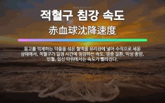 🌟적혈구 침강 속도: 응고를 억제하는 약품을 섞은 혈액을 유리관에 넣어 수직으로 세운 상태에서, 적혈구가 ... - 표준국어대사전