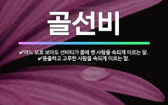 🌟골선비: 옹졸하고 고루한 사람을 속되게 이르는 말., 어느 모로 보아도 선비티가 몸에 밴 사람을 속되게 ... - 표준국어대사전