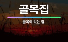 🌟골목집: 골목에 있는 집. - 표준국어대사전