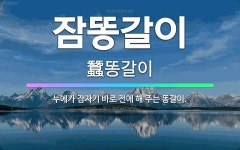 🌟잠똥갈이: 누에가 잠자기 바로 전에 해 주는 똥갈이. - 표준국어대사전