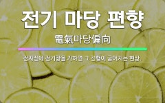 🌟전기 마당 편향: 전자선에 전기장을 가하면 그 진행이 굽어지는 현상. - 표준국어대사전