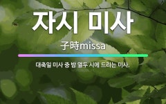 🌟자시 미사: 대축일 미사 중 밤 열두 시에 드리는 미사. - 표준국어대사전