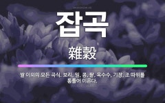 잡곡: 쌀 이외의 모든 곡식. 보리, 밀, 콩, 팥, 옥수수, 기장, 조 따위를 통틀어 이른다. - 표준국어대사전