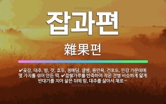 🌟잡과편: 곶감, 대추, 밤, 잣, 호두, 청매당, 귤병, 용안육, 건포도, 민강 가운데에 몇 가지를 섞어... - 표준국어대사전