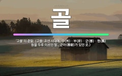 🌟골: ‘고을’의 준말. (고을: 조선 시대에, 주(州)ㆍ부(府)ㆍ군(郡)ㆍ현(縣) 등을 두루 이르던 말.... - 표준국어대사전
