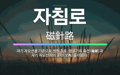 🌟자침로: 자기 자오선을 기준으로 정한 침로. 항공기의 축선(軸線)과 자기 자오선과의 교각(交角)을 이른다. - 표준국어대사전