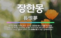 🌟장한몽: 서도(西道) 가요의 하나. 신소설 에서 소재를 따서 발림 엮음으로 부르는 소리인데, 뒤... - 표준국어대사전