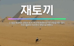 🌟재토끼: 긴 털을 제공하는 잿빛의 토끼. 비교적 튼튼한 토끼로 어렸을 때는 털이 거무스름하다 자라면서 잿... - 표준국어대사전
