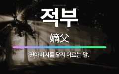 🌟적부: 친아버지를 달리 이르는 말. - 표준국어대사전