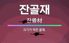 (합)대우석재골재 | 🌟잔골재: 크기가 작은 골재. - 표준국어대사전