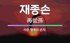 🌟재종손: 사촌 형제의 손자. - 표준국어대사전