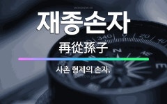 🌟재종손자: 사촌 형제의 손자. - 표준국어대사전