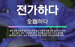 🌟전가하다: 왼쪽 발을 오른쪽 넓적다리 위에 놓고 오른쪽 발을 왼쪽 넓적다리 위에 놓고 앉다. 또는 그 반... - 표준국어대사전
