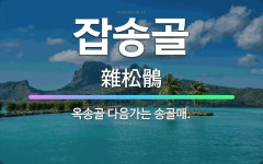 🌟잡송골: 옥송골 다음가는 송골매. - 표준국어대사전