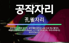 🌟공작자리: 궁수자리 남쪽에 있으며, 공작 별을 알파성(α星)으로 하는 별자리. 독일의 천문학자 바이어(B... - 표준국어대사전
