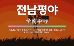 🌟전남평야: 전라남도 서북부를 흐르는 영산강 유역의 평야. 쌀, 목화, 쌀보리, 고구마 따위가 난다. 면적... - 표준국어대사전