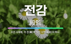 🌟전감: 조선 시대에, 각 전(殿)에 속한 사역(使役)의 하나. - 표준국어대사전