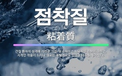 🌟점착질: 간질 환자의 성격에 가까운 기질. 보수적이고 도덕적인 경향이 강하고, 지적인 작용이 느리나 때로... - 표준국어대사전